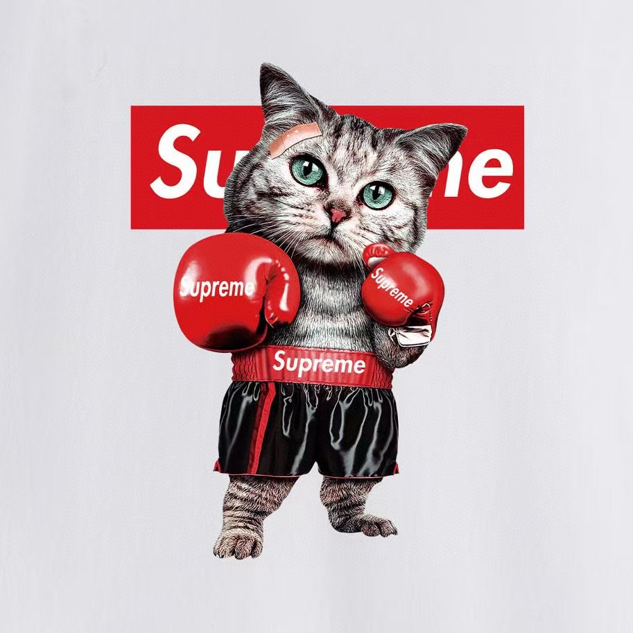 Supreme Boxing Cat Graphic T-Shirt — detail